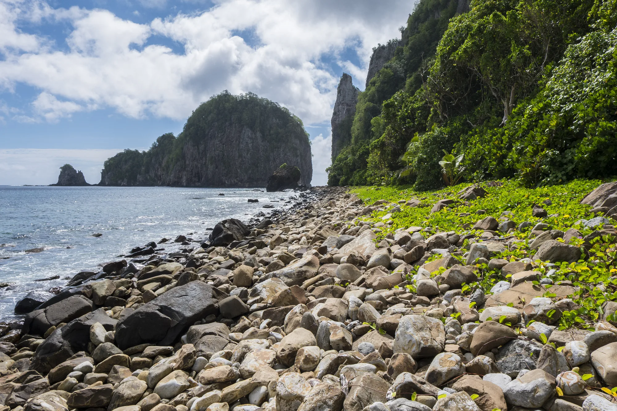 Coastline and rainforest of the National Park of American Samoa, Tutuila