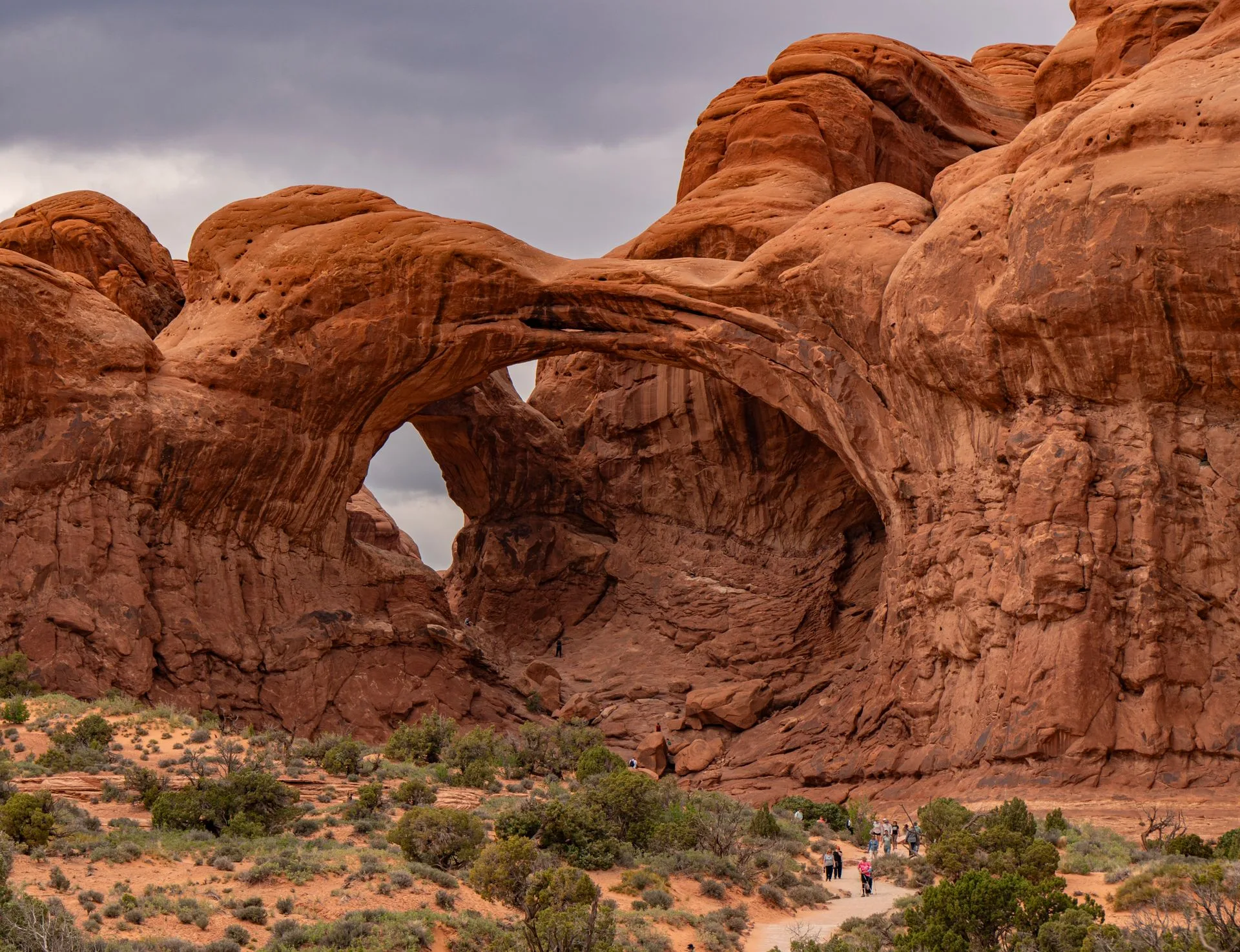 Slickrock desert terrain, Arches National Park