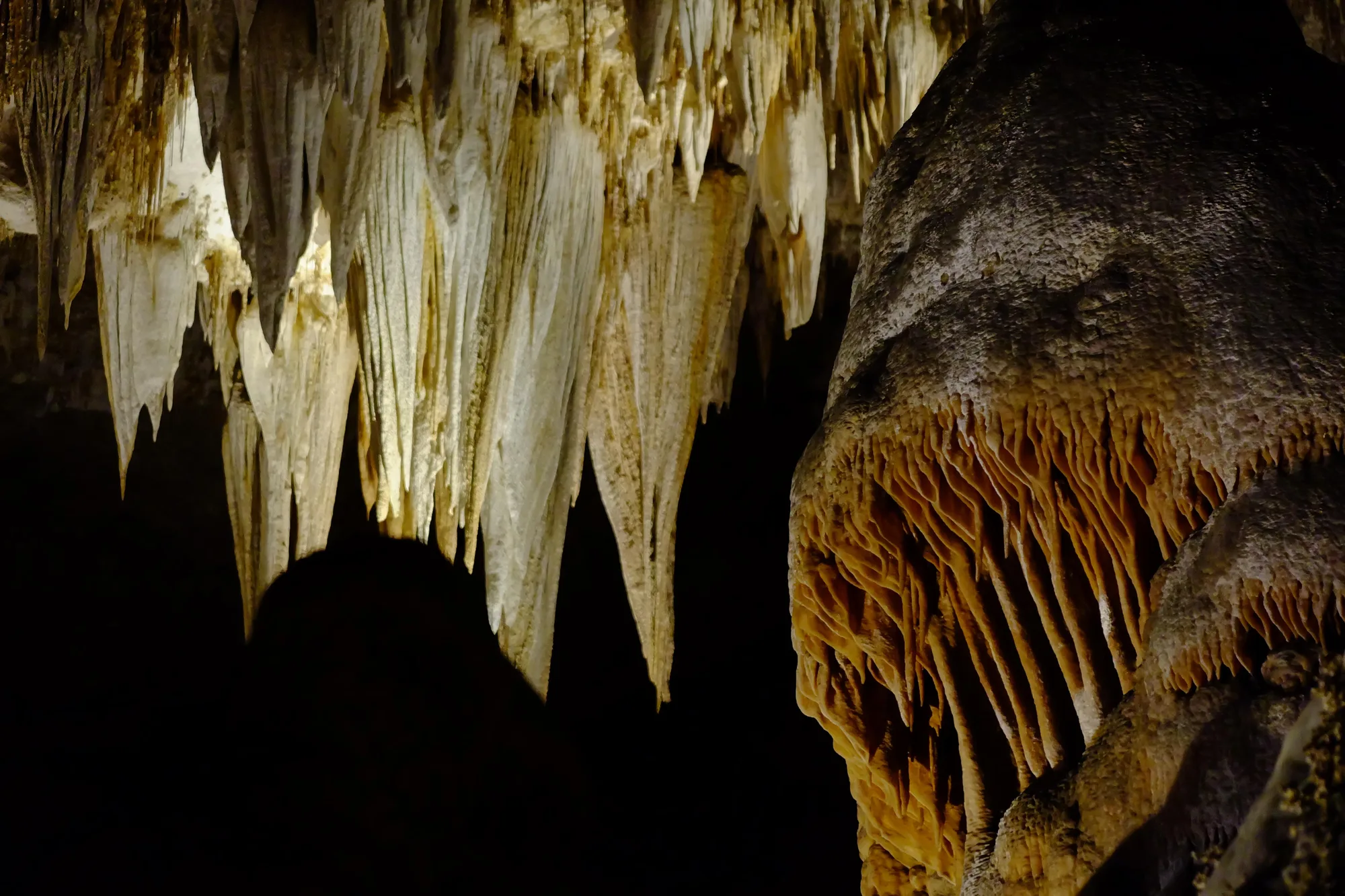 Big Room trail deep inside Carlsbad Caverns National Park, New Mexico
