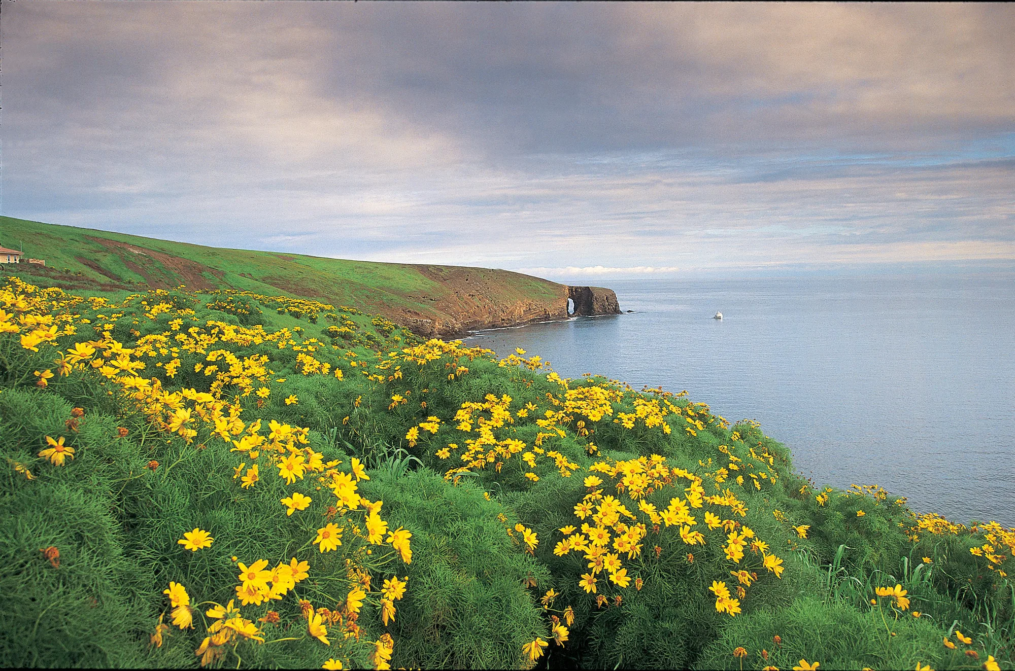 Coastal waters near Inspiration Point, Anacapa Island, Channel Islands National Park, home to giant kelp forests