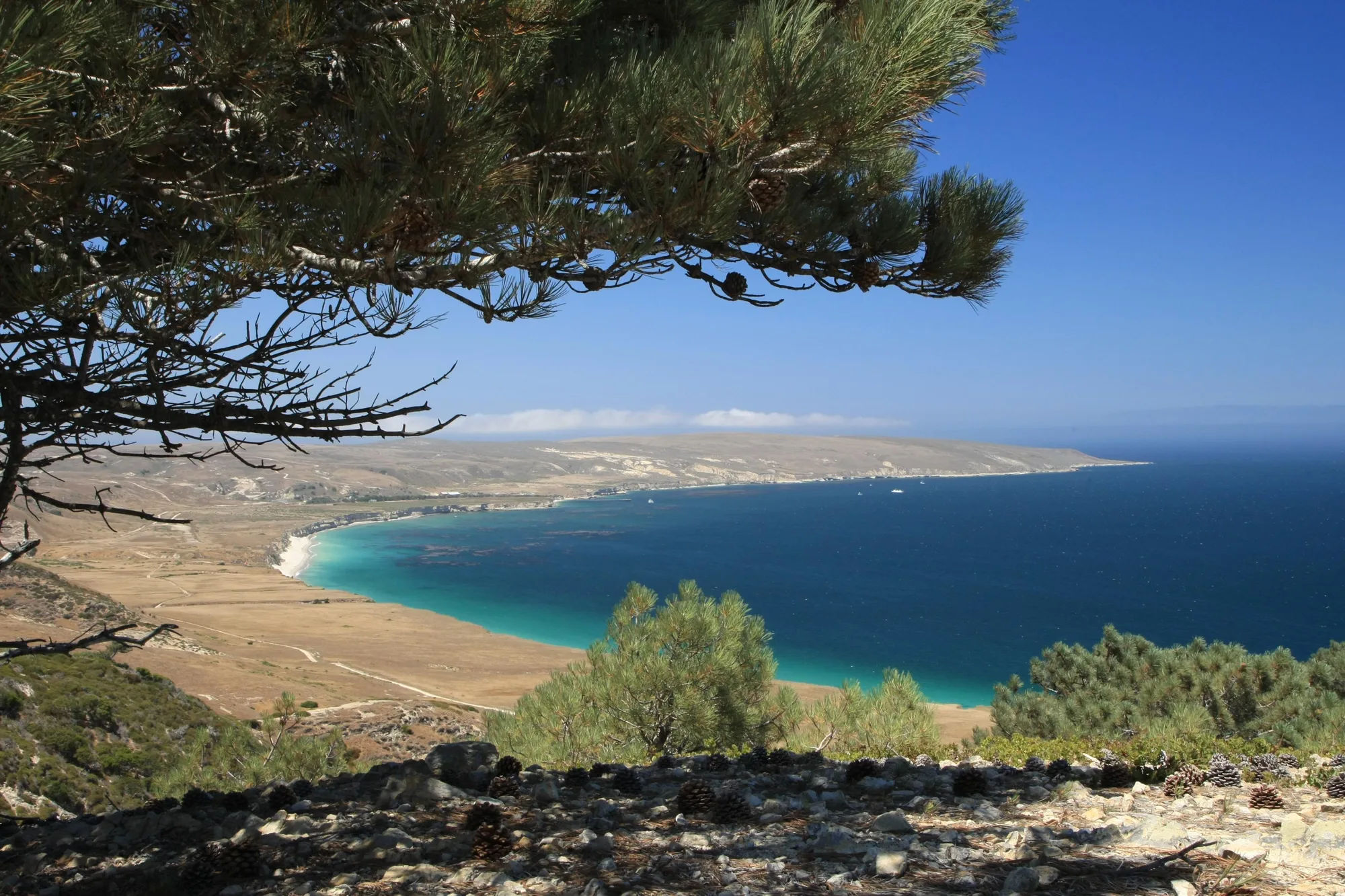Coastline of Santa Cruz Island, home to the largest island fox population at Channel Islands National Park