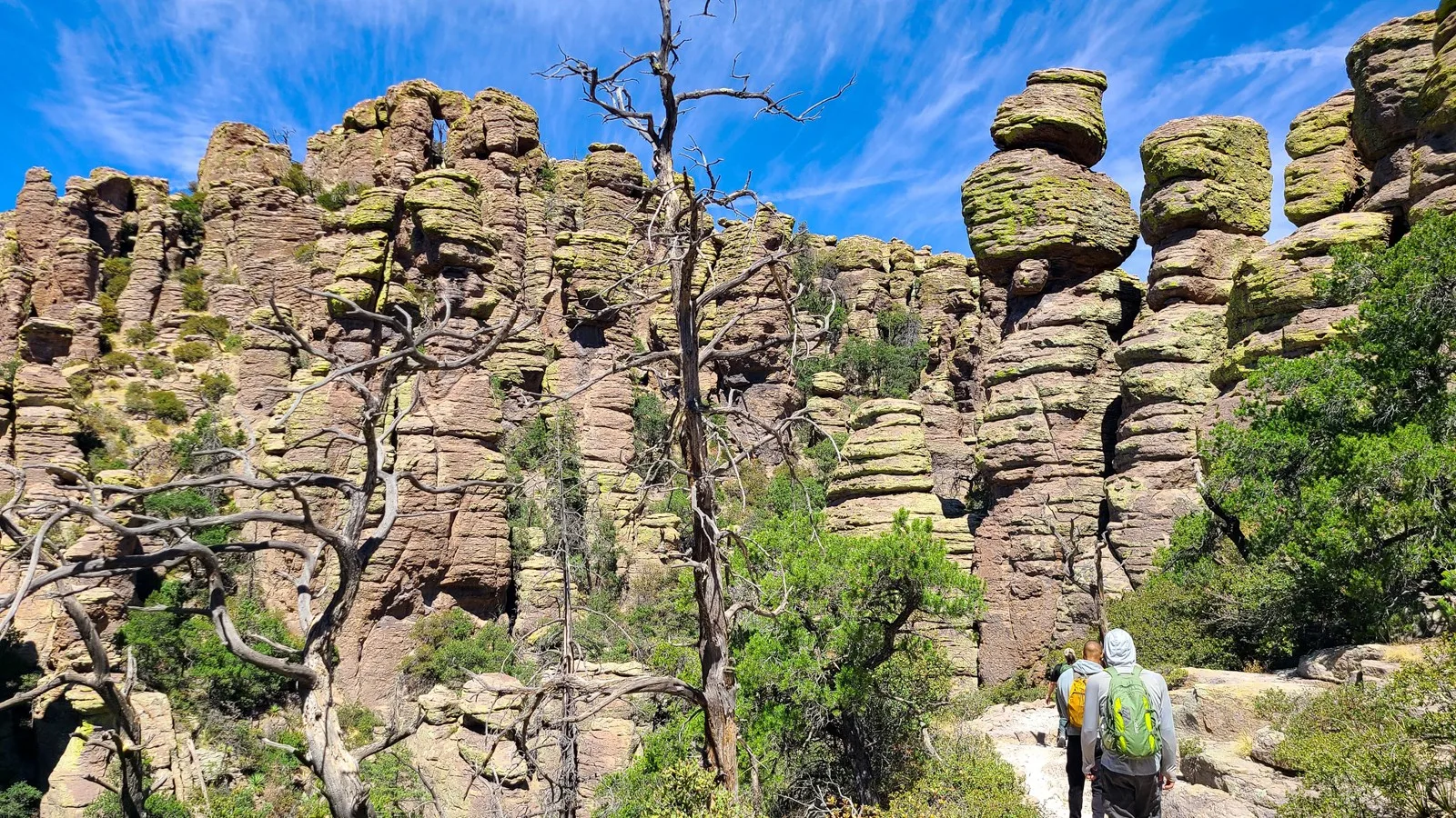 Hikers among rhyolite pinnacles and pines on the Echo Canyon Trail in Chiricahua National Park