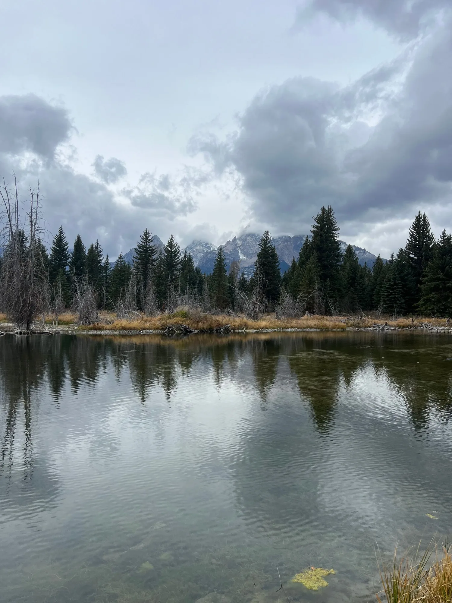 Wide river bend with Mount Moran and the Teton Range in the distance