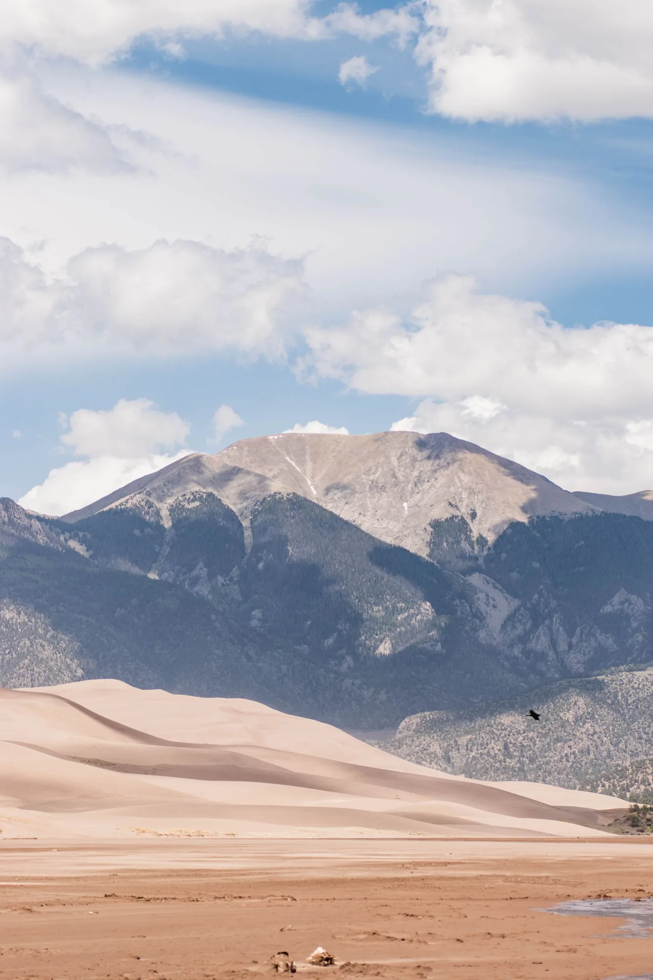 Sand dunes at Great Sand Dunes National Park, Colorado, popular for sandboarding