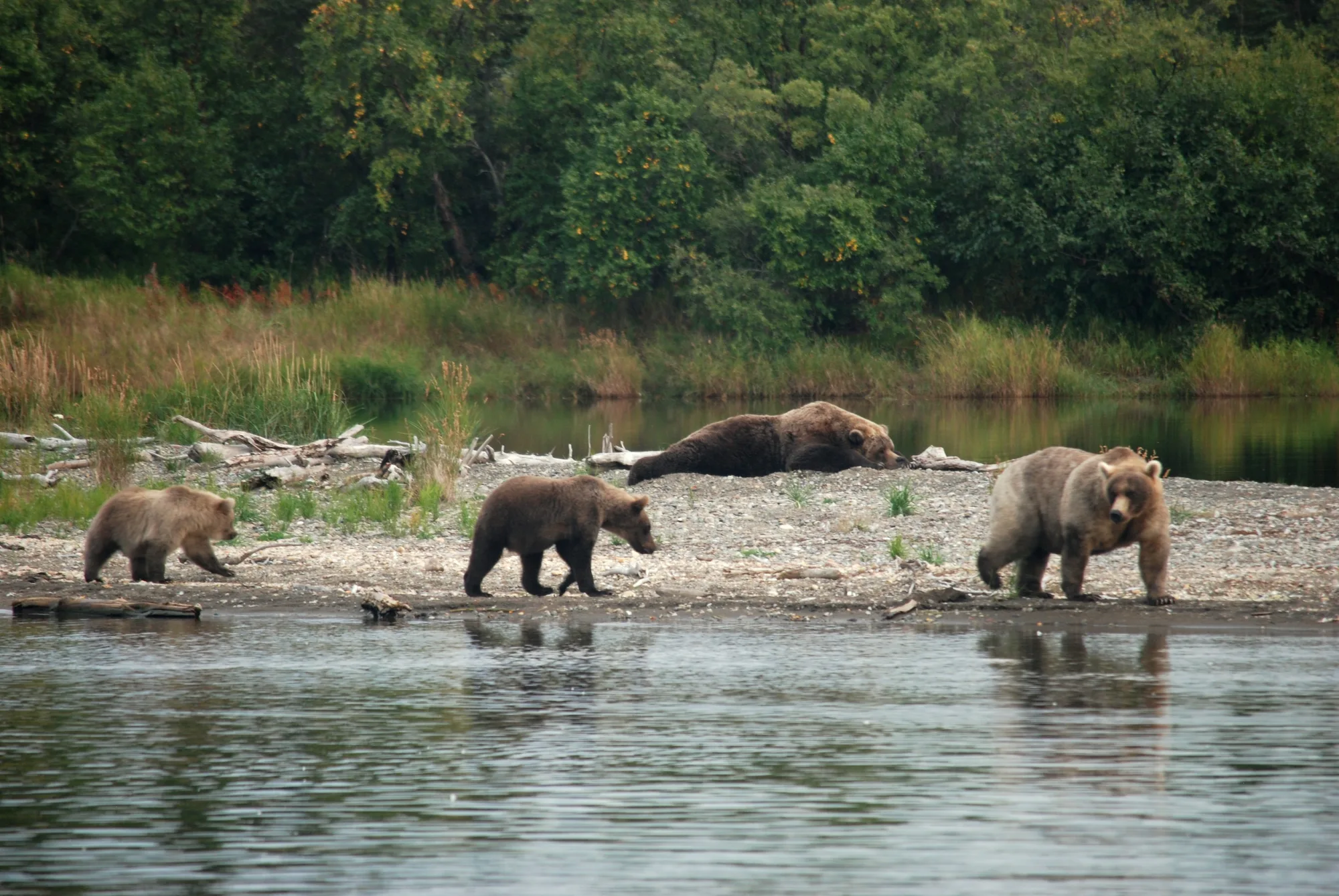 The ash-covered Valley of Ten Thousand Smokes, Katmai National Park
