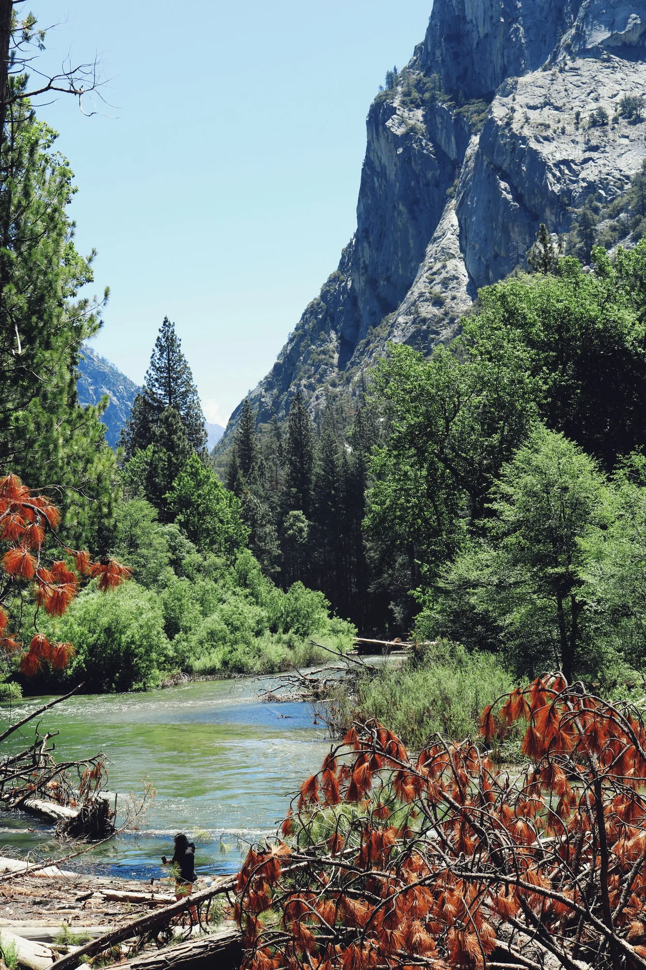 Marble canyon walls, Kings Canyon National Park