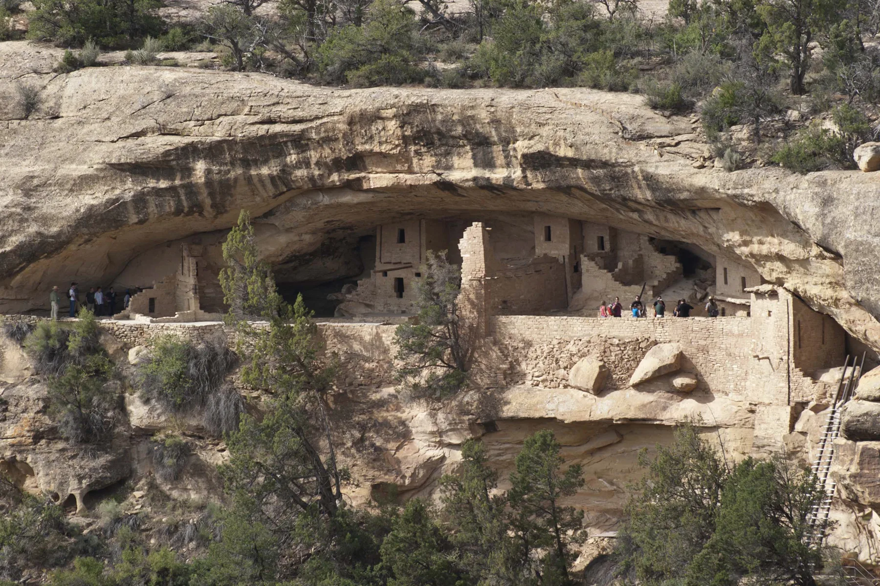 Cliff dwellings at Mesa Verde National Park