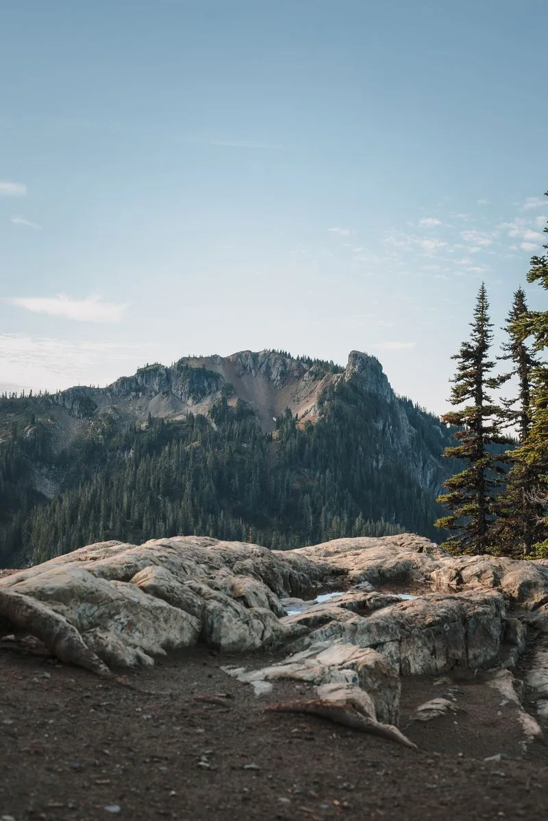 Paradise area at Mount Rainier National Park, Washington