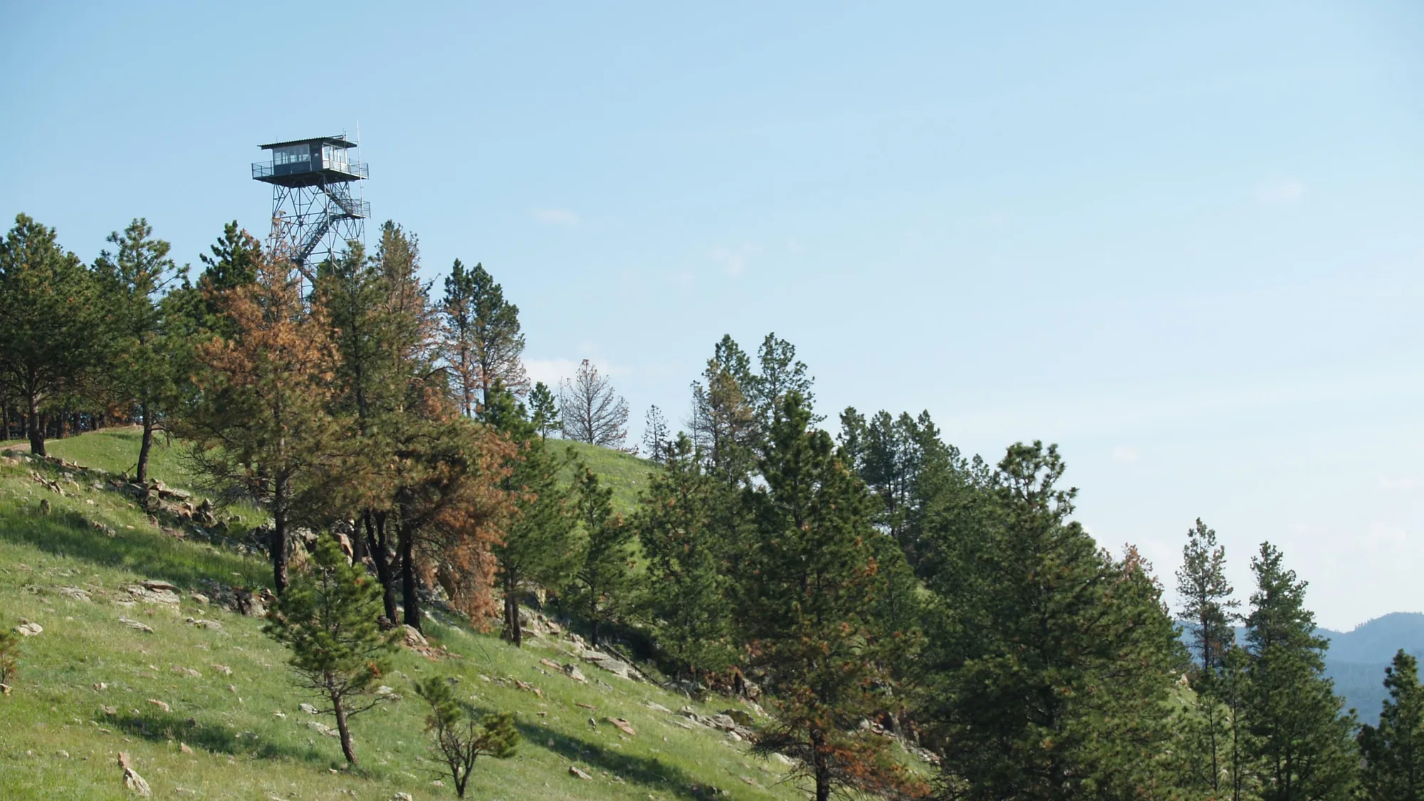 Prairie ridge landscape above Wind Cave National Park, South Dakota