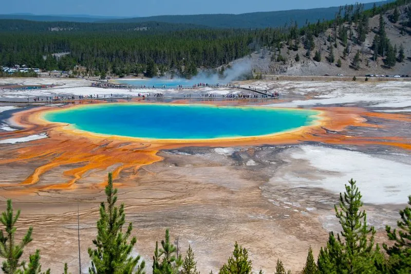 River canyon and forested overlook along Yellowstone's Grand Loop Road