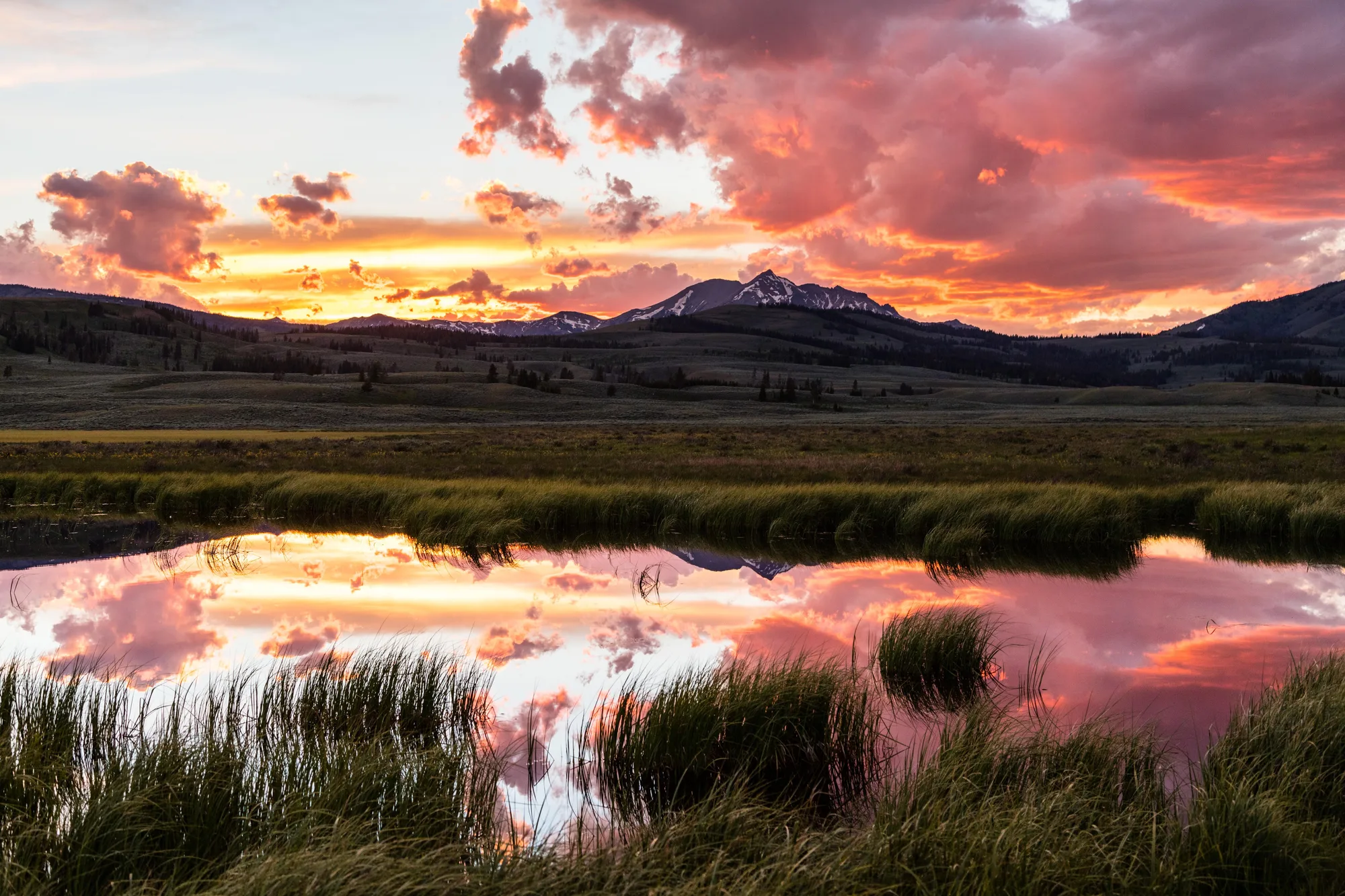 Yellowstone National Park