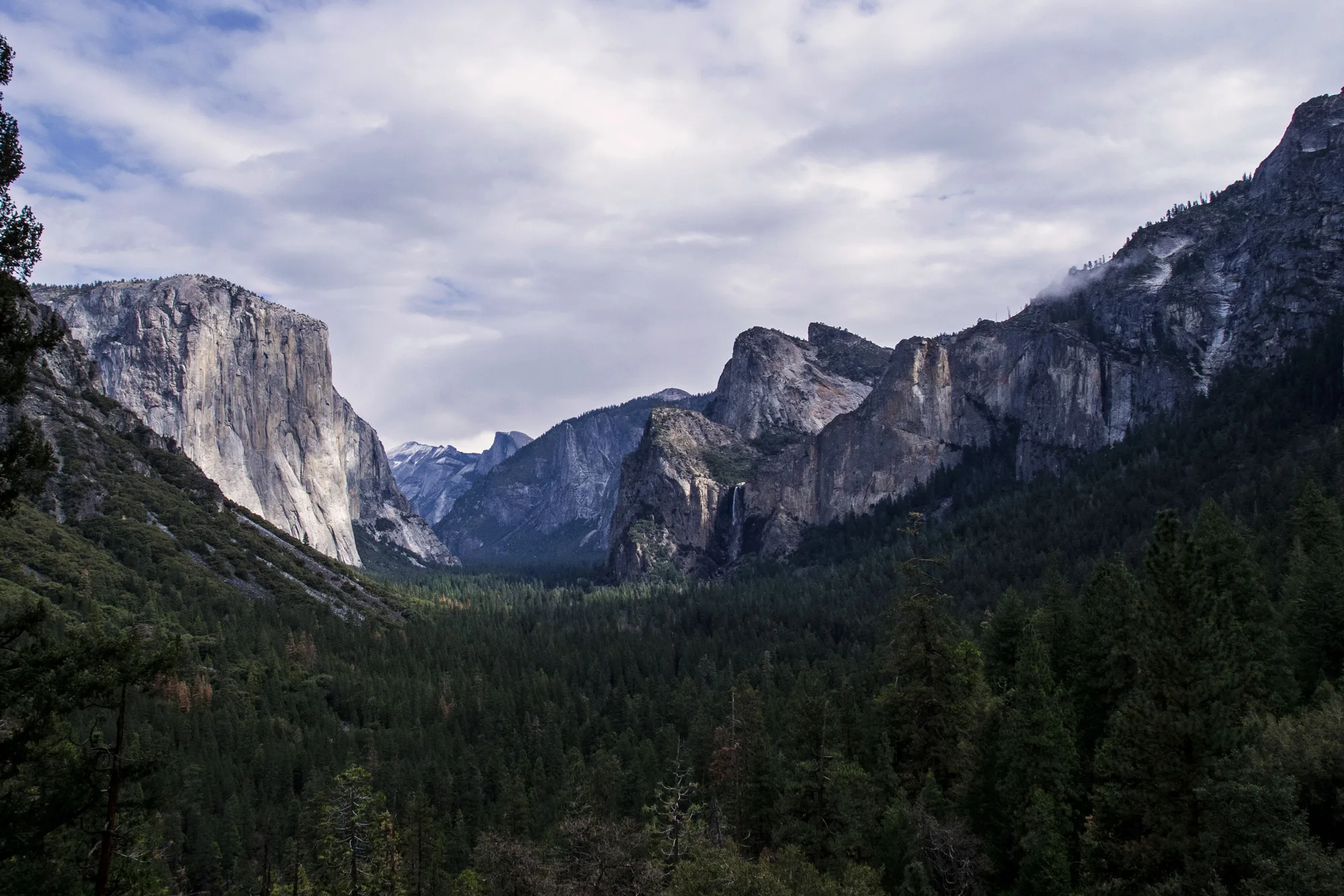 Half Dome's sheer granite face seen from Glacier Point, Yosemite