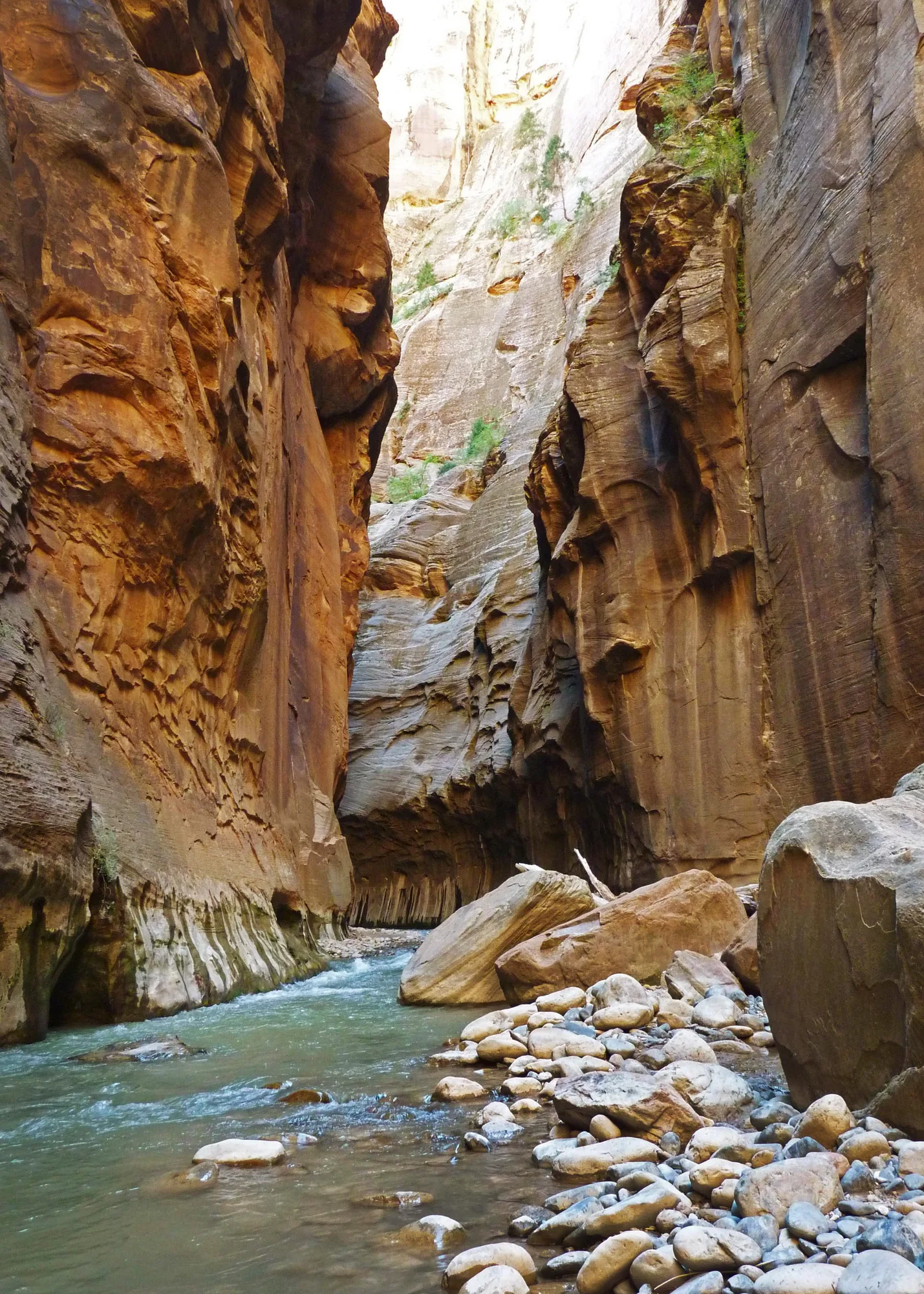 The Virgin River winding through Zion Canyon's Narrows